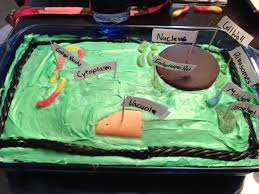 Check spelling or type a new query. 19 Plant Cell Cake