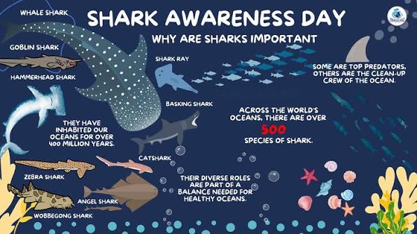 Underwater - Shark Awareness Day is celebrated to raise awareness about the  importance of sharks in ocean ecosystems and to promote their conservation.  It aims to educate people about the threats sharks