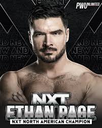 Pro Wrestling Unlimited