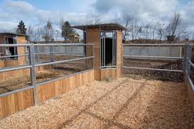 Image 48 Jpg 729 486 Paardenstallen Stallen Paardentips