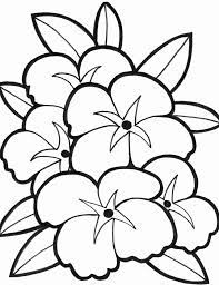 Check spelling or type a new query. Coloring Pages Spring Flowers Coloring Page Elegant Easy Flower Coloring Pages Coloring Home Of Spring Flowers Coloring Page