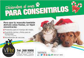 Diciembre Es El Para Consentirlos Hola A Todos En Vipet Tenemos Todo Preparado Para Que Tu Mascota Tambien Disfrute Estas Fiestas Preguntanos Por Product