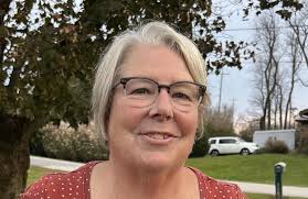 Whispers of recall election arise against Clinton Township Trustee  Hochstetler amid industrial solar fight