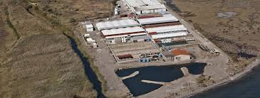 Land Based Aquaculture Fish Farming Filtration Solutions Ras Mat