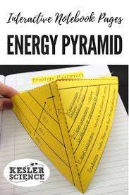 Use This Energy Pyramid To Graphically Demonstrate The Energy Flow At Each T Interactive Notebooks Interactive Science Notebook Ecosystems Interactive Notebook