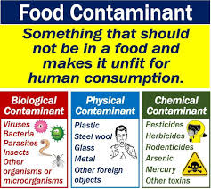 What Is A Food Contaminant Definition And Examples Market Business News Contaminated Food A Food Food Borne Illness