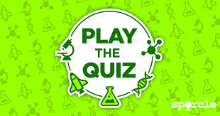 Matching Polyatomic Ions Quiz By Sproutcm