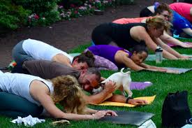 Find your next apartment in fitler square philadelphia on zillow. Puppy Yoga At The Logan Hotel In Philadelphia Phillyvoice