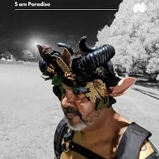 Phoebe Adler-Ryan Archives -