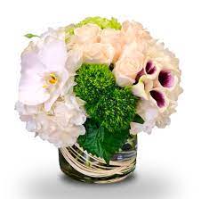 Maybe you would like to learn more about one of these? A Touch Of Picasso By Newport Florist Nf304 In Newport Beach Ca Newport Florist