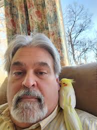 Europa gas tank removal for cleaning?