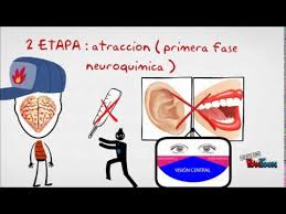 Formula Quimica De Cupido Youtube