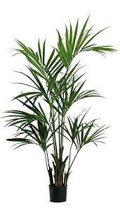 Serviti delle offerte amazon portavasi da interno e trova tutti gli sconti e i consigli di amazon per quanto riguarda portavasi da interno! Kentia Palm Elegance Luxe Artificiale H 150 Cm Newgreen Http Www Amazon It Dp B00ia33yj8 Ref Cm Sw Albero Artificiale Piante Da Interno Fiori Artificiali
