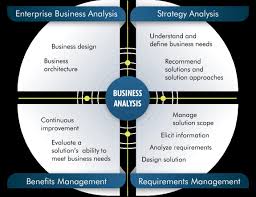 The Changing Role Of The Business Analyst Pmo Perspectives Blog