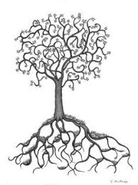 They're divided into three primary lobes, with the leaf margin irregularly toothed. 46 Roots Ideas Roots Root System Root
