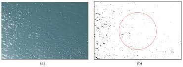Tulis subject email dengan tepat atau sesuai persyaratan. Sensors Free Full Text Ocean Color Inferred From Radiometers On Low Flying Aircraft Html