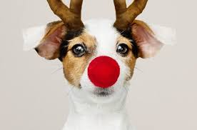 Originelle Weihnachtsgeschenke Bis 25 Euro Fur Manner Geschenkezapp