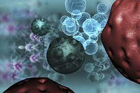 The stage of a cancer describes the size of a tumour and how far it has spread from where it the grade describes the appearance of the cancerous cells. Tumor Markers Fact Sheet Oncology Nurse Advisor