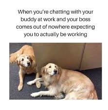 At least i can drink there. Encouraging Work Memes To Get You Through The Day Ultima Status