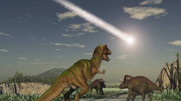 Mass extinction - Energy Education