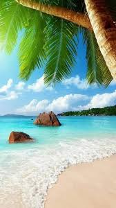 Si vous aimez le soleil , le sable qui s'étend sur des miles et les eaux marines d'aqua qui peut être vu de l'espace! Plage Paradisiaque Voyage Onirique
