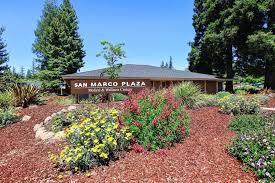 San Marco Plaza Medical and Wellness Center