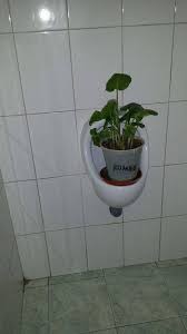 See posts, photos and more on facebook. Romeo Planta Publicaciones Facebook