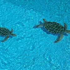 Sea Turtle Natural W Shadow Pool Mosaic Mosaic Pool Turtle Sea Turtle