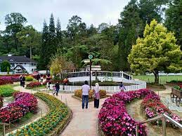 5.39576, 100.31365) is a lower medium cost apartment complex along lorong parit buntar , in the perak road neighbourhood in jelutong we are able to help you buy, sell, rent and let out various types of properties in penang including residential, commercial, industrial and land. Tempat Paling Menarik Di Cameron Highlands Yang Sangat Popular Cari Homestay