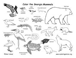 Wetlands Animal Habitat Coloring Pages Animal Habitats Habitats Coloring Pages