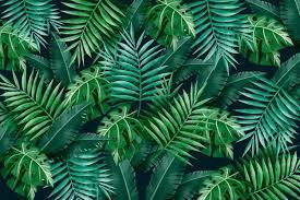 Large Tropical Green Leaves Background Free Vector Freepik Freevector Background Pattern Flora Leaf Background Green Leaf Background Tropical Background