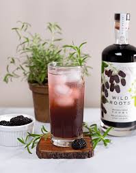 Pin By Laurel Sparks On Booze Drinks Infusions Glassware Anything Good In 2020 Vodka Cocktails Recipes Rose City Vodka Recipes