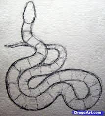 How To Draw A Realistic Snake Draw Real Snake Step 3 1 000000039055 5 Jpg 750 824 Pixels Snake Drawing Snake Sketch Snake Painting