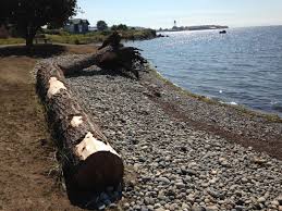 Free cancellation · no booking fees · 24/7 customer service Marine Park Shoreline Reconstruction Naturalization Pilot Project Blaine Wa Official Website