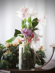 3,244 likes · 53 talking about this. Plantas De Agua Para Tener En Casa Infojardineria Es