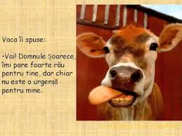 Trandafirul alb şi stima de sine. Poveste Despre Prietenie Youtube