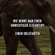 Wie Nennt Man Einen Unwichtigen Elefanten Kaufdex Witzige Spruche Elefanten Lustig