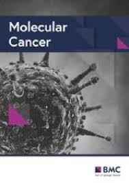 Synastry is the word used to describe comparing two charts. Mrna Vaccine For Cancer Immunotherapy Molecular Cancer Full Text