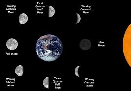 Moon Phases Beginning With New Moon Going Counter Clockwise Astrology Nature Moon Phases Moon Science For Kids
