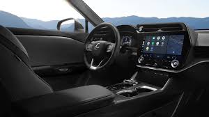 Image result for Black Onyx 2023 RZ