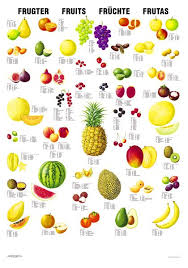 List All Fruits Name English Lessons Grammar Speaking Vocabulary Idioms Tests Reading Fruit List Fruit All Fruits