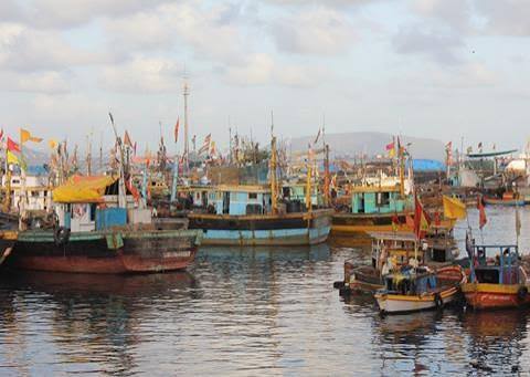 India looks to raise marine fisheries production | News | World Fishing