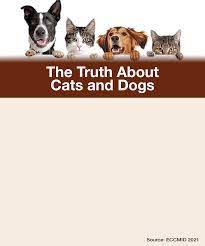 The Truth About Cats And Dogs Covid 19 Transmitted By Owners Infectious Disease Special Edition