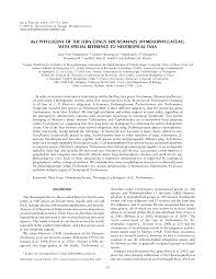 Image result for Trichomanes crispiforme