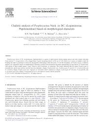 Image result for Psophocarpus lancifolius