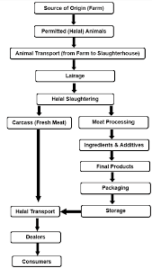 Traditional halal meat is killed by hand and must be blessed by the slaughterman. Simple Structure Of The Halal And Tayyib Meat Supply Chain Download Scientific Diagram