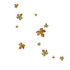 R11 Autumn 2012 140 Png Fall Leaves Png Leaf Wallpaper Maple Leaf Tattoo