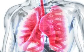 What does ohca stand for? Out Of Hospital Cardiac Arrest Airway Management Emergency Physicians Monthly