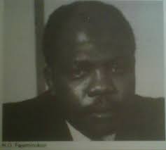 Notable Nigerian Heroes We All Need To Emulate As Nigerians