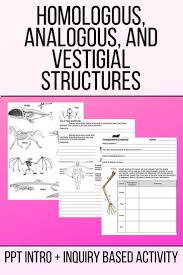 Homologous And Analogous Stuctures Middle School Science Resources Middle School Science Class Middle School Science